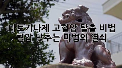 나토키나제💊 고혈압 탈출 비법? 혈압 낮추는 마법의 열쇠🗝️