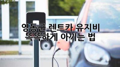 영동군 렌트카 유지비, 똑똑하게 아끼는 법 🚗💨
