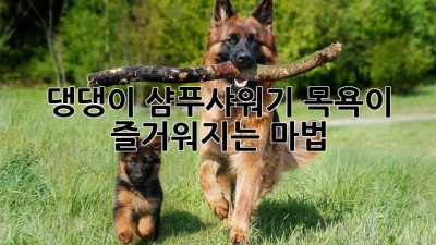 🐶 댕댕이 샴푸샤워기🚿: 목욕이 즐거워지는 마법✨